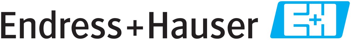 Endress+Hauser