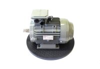 SIDO Ing. IE2-SAL100L2 Elektromotor unused