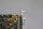 Weber Ultrasonics Sonopower WU 1000 T 25 control module used