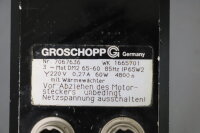 Groschopp DM2 65-60 WK 1665701 Motor 60W + E32 Getriebe...