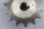 Special Standard 5/8 Z=14 (10SA614) A6Bore 16  Zahnrad Unused OVP
