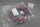 Phoenix Contact SAC-5P-MS/10,0-920 SCO 1518193 Bussystem-Kabel Unused OVP