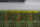 BBC HEIE 420158 Puffermodul R1 XT376a unused