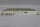 Siemens SIMATIC 6ES5 318-3UA11 E : 02 6ES5318-3UA11 Used