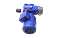 Bran + Luebbe Dosierpumpe DP 15/72 MarelliMotori MA 63 MB4-B14