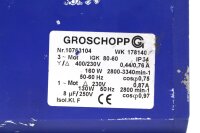 Groschopp WK 1781401 + VE 31-K-L-32 Drehstrommotor