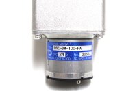 Tsukasa Electric TG-06E-BM-100-HA DC Getriebemotor Unused