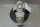 Siemens FDU1609/2335247 001 2KJ3990-0RPZ29-LA71MH4-L4NH Getriebemotor unused