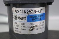 &Ouml;kofen GS4IK25GN-CPT Induction Motor mit 4GN 90K...