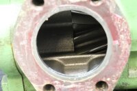 Rickmeier R65/250 FL-Z 330030-8 Zahnradpumpe 23-56899 Unused