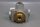 Compair Maxam 7001 P 99980 Hochleistungsventil Unused