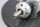 Papst PAMOdyn I 34.30-E1000-REG 42/1 Elektromotor 2700 r/min Used