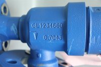 Leser 4623.2904 Sicherheitsventil 4 bar Unused