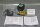 Asco SC E210C094 24 DC Magnetventil unused OVP