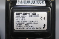 Brahma T13 Series Ignition Transformer 220V 0.65A 50Hz 15177061 T13/M used