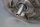ABI Stainless Motor MRS14b-24 B201734 250W Unused