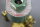 ASCO R316 65 R31665 20336.2 Ventil unused