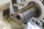 Siemens 1FT5102-0AG71-1-Z Servomotor Unused