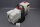 Pfeiffer Pascal 2010SD Drehschieberpumpe 210SDMHEM + Nidec CF29PR Motor used