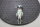 Endress+Hauser Liquiphant FTL31-12X0/0 F&uuml;llstandsgrenzschalter unused ovp