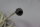 RAE Corporation 2808170 115VDC Elektromotor