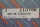 Weidm&uuml;ller RSM8R Relaiskoppler 115 V 110796 RSM 8R unused OVP