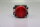 Telemecanique XB2 BV6424 066053 Leuchtmelder rot XB2BV6424 Unused/OVP
