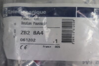 Telemecanique ZB2BA4AA Pushbutton 10 Stück ZB2BA4 061202 Unused OVP