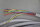 Murr Elektronik 27868 Passiv-Vert. Kunststoff 8xM12 4pol 01417 used damaged