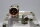 Siemens 1FK7101-5AF71-1AG0 Servomotor 3000 U/min 4.85kW Used