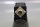 DSM BLP-28120/300V Servomotor Used