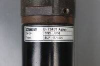 DSM BLP-57/300 BLP57300 Servomotor used