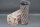 HYDAC 0660R010 BN4HC Filterelement 01263017 Unused OVP