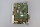 Baldor ASR BTS10-7,5/15-24-RL-717 Servo Steuerkarte 26766C D12125100 Used