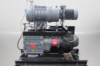Edwards GV250+EH2600+GBOXVENT+SIL+GAS BAL. Pumping System...