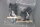Schneider LV429268 2xSteckkontakte Compact NSX100-250 PP2019-W32-5 Unused Sealed