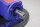 KSB ETN 065-040-125 GGSAA10GA20022 Spiralgeh&auml;usepumpe 2889 1/min Unused