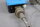 Bourdon Haenni Regulauto RPPAAA3201 Pressure Switch 100bar Unused