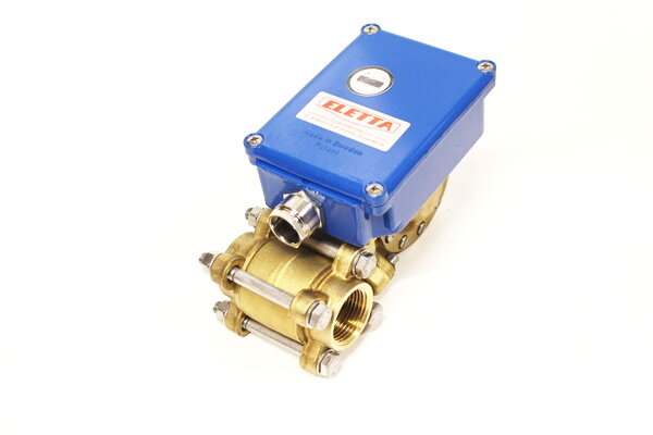 Eletta V1-GL 25 Flow Monitor
