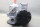 BUSCH RE 0063 B P0A Vakuumpumpe RE0063BP0A 0,5hPa 1800U/min + EeDA 100/4 Used