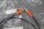 IFM EVC012 Verbindungskabel M12, 1,0m PUR-Kabel unused OVP