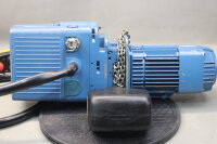 DEMAG DKES 2-400 K V1 E Kettenzug Kran DKES2-400KV1E 0,75KW 2/1 0,8t Used