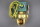 ASCO 8220G409 Magnetventil 323471 3/4 10,1W 5-125psi Unused OVP