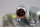 Siemens 1FK7042-5AK71-1EG0 Servomotor 1FK70425AK711EG0 3Nm 9000rpm Unused OVP