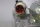 Siemens 1FK7022-5AK71-1HH0 Servomotor 1FK70225AK711HH0 0,85Nm 10000rpm Unused