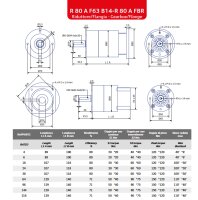 Bernio Tipo R80 A F63 B14 1/4 R80AF63B141/4 Getriebe i=4 Unused