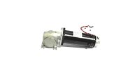 RAE 904351 REV.G DC Motor + Getriebe Used
