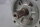 BAUM&Uuml;LLER DSG 56-L Servomotor 2088328 2,9KW 10Nm 4000rpm + Bremse 261134 Used