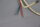 SEW EURODRIVE SR15 Bremsansteuerung 8267626 Unused