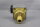 Honeywell FEMA DGM1A Druckw&auml;chter 0,2-1,6bar Unused